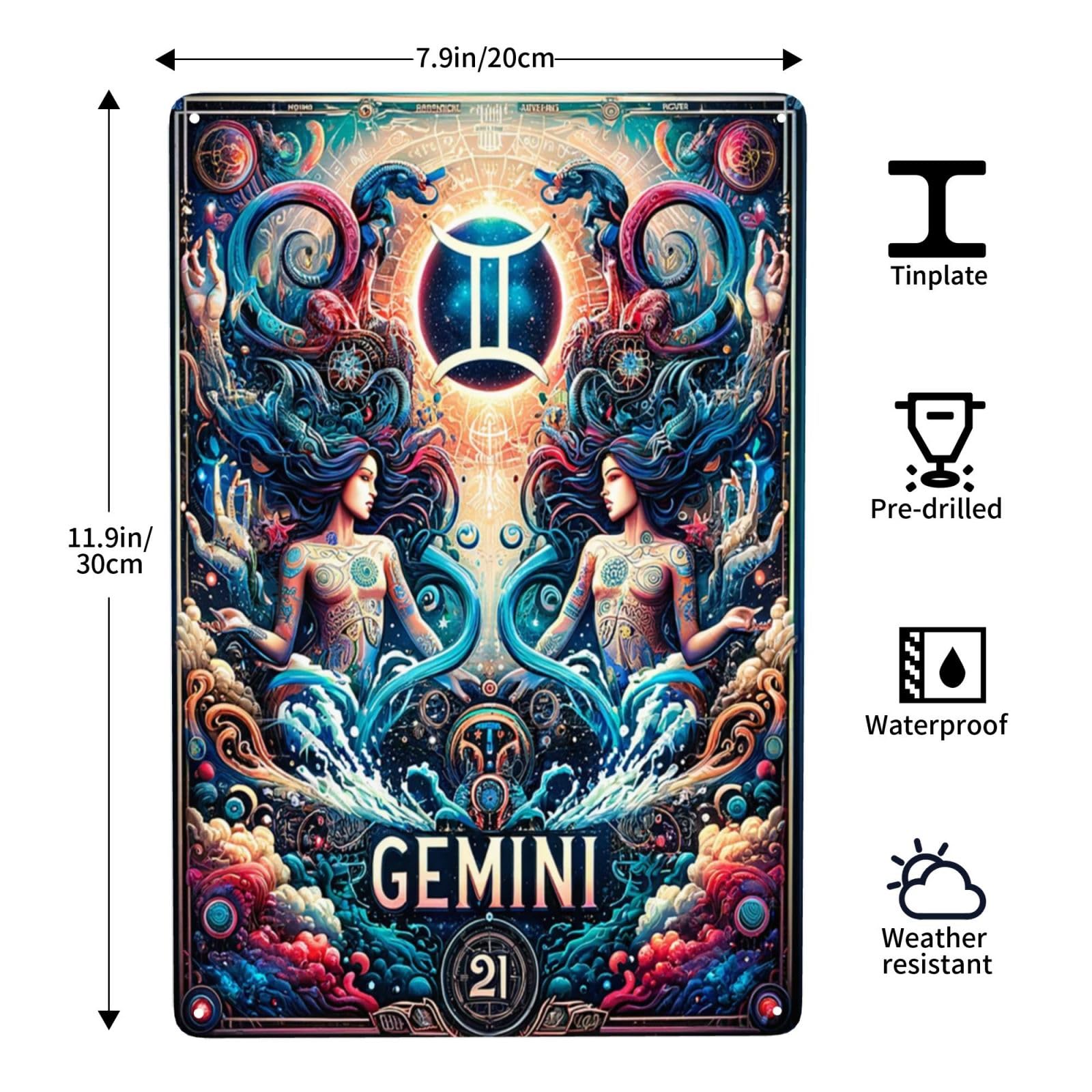 Amazon.com : Mystical Gemini Zodiac Sign Art Home Decor Retro